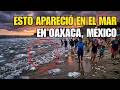 Esto Ya NO es Normal! Esto acaba de aparecer en las costas de México y nadie puede explicarlo