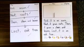 How To Use A Flow Map | Graphic Organizer | Writing | Oak Tree | Time Lapse