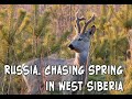 Russia. Chasing Spring in West Siberia (Eng).
