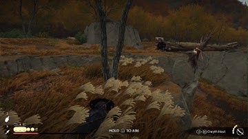 Ghost of Yōtei Playthrough Part 24 | Lethal Unedited