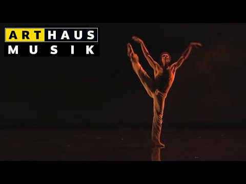 SIDDHARTA | Mozart, Beethoven, Janáček, Verdi, Offenbach | Komische Oper Berlin