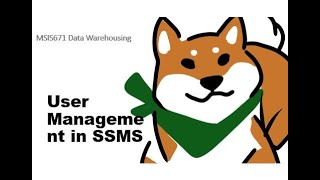 SQL Server User Management using SSMS