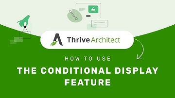 How to Use the Conditional Display Option