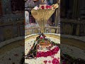 श्री विरूपाक्ष महादेव मंदिर बिलपांक #bilpank #love #indianholiday #virupaksha #wedding
