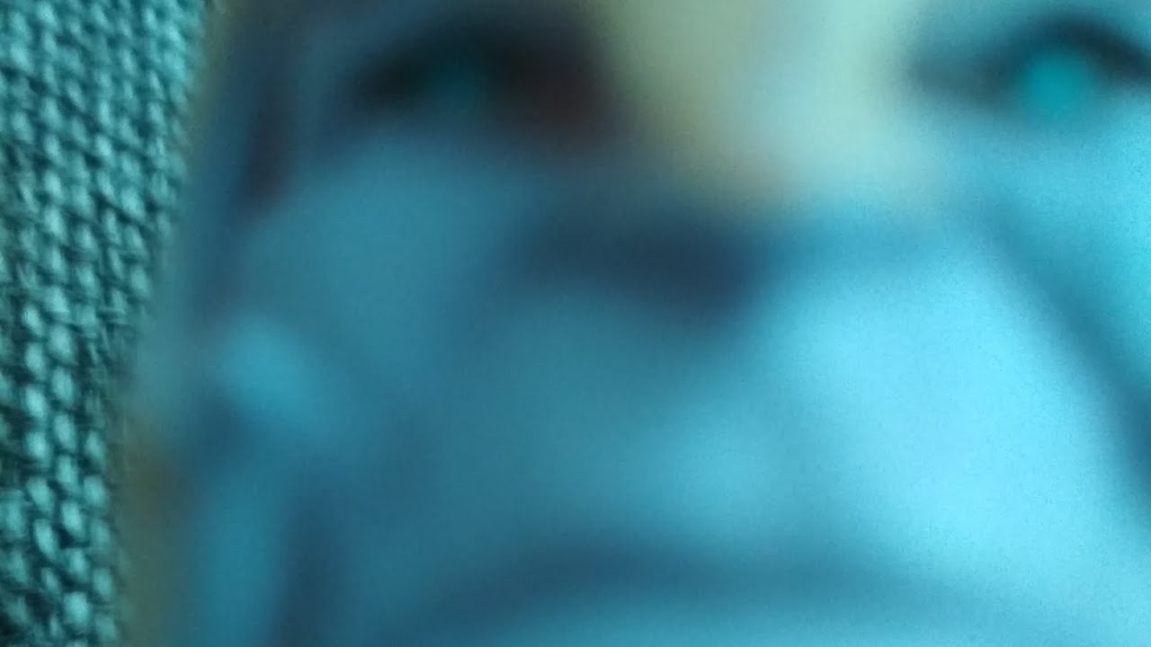 Бернард смешные моменты, Бернард по чипсы - YouTube