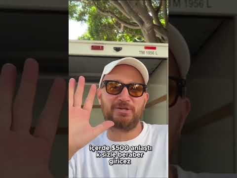 $500 lık Amerikan