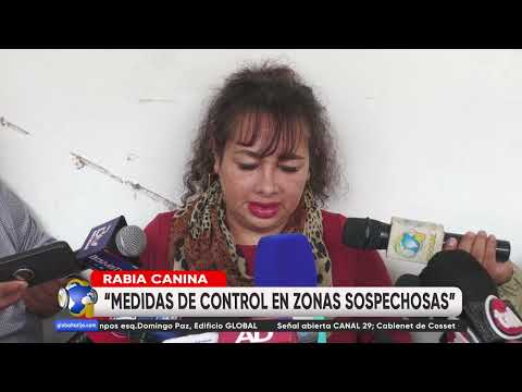 POR FALTA DE VACUNAS NO HABRÁ CAMPAÑA DE INMUNIZACIÓN ANTIRRÁBICA