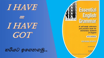 I have = I have got | Essential English Grammar - unit 9