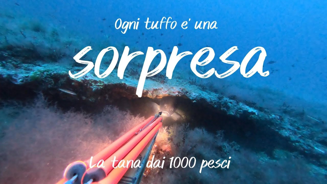 La TANA MAGICA che tutti vorrebbero