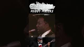 Chicago Blues 🎸 When the Guitar Speaks   #Shorts #ChicagoBlues #BluesGuitar