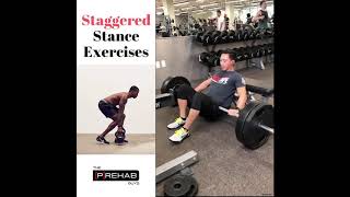 Staggered Stance Exercises (Hip Thrust and RDL) Wealth