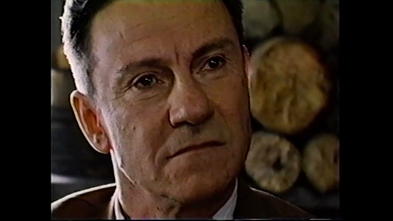 Imaginary Crimes VHS Release Ad (1994)