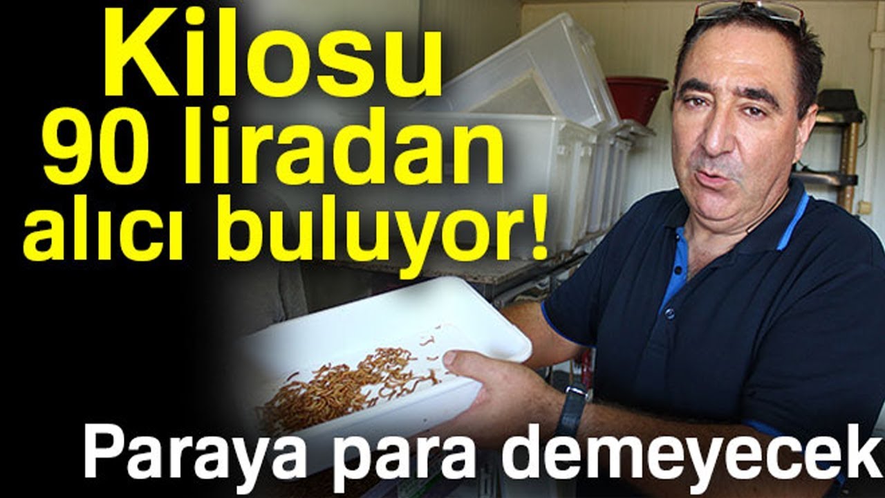 Paketleyip Kilosunu 90 Liradan Sattığı Kurtlarla Avrupa'ya Açılacak