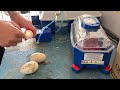 Come riparare un uovo ðŸ¥š crepato