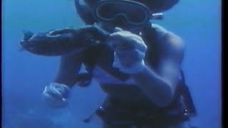 Scuba Divers Exploring And Playing With Marine Life 1970