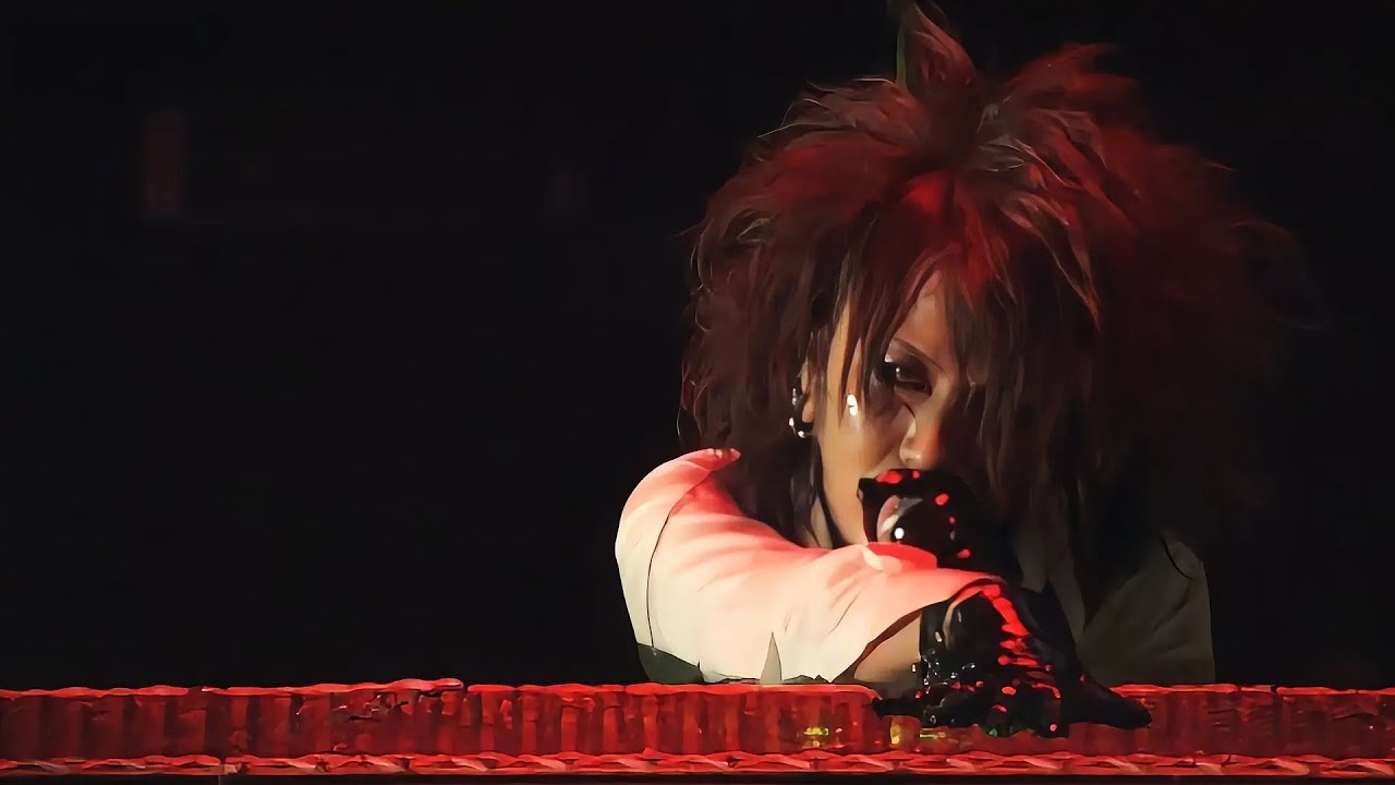 ミュージック the GazettE/TOUR09-DIM SCENE the GazettE - DIM SCENE【TOUR09 -DIM SCENE-FINAL AT SAITAMA SUPER