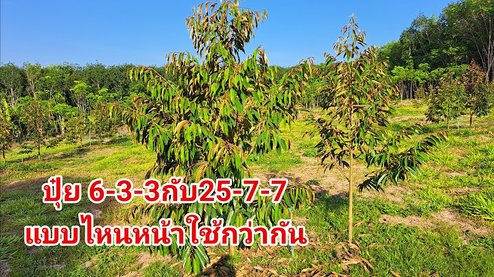 ปุ๋ย6-3-3กับ25-7-7แบบไหนหน้าใช้กว่ากัน ทุเรียนต้นคู่