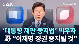 민주 ‘대통령 재판 중지법’ 띄우자…국민의힘 “이재명 정권 중지될 것” / 채널A / 뉴스A