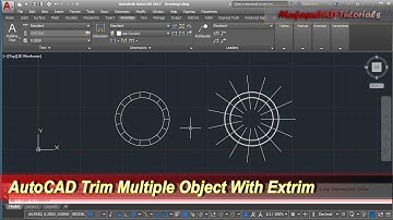 AutoCAD Trim Multiple Object With Extrim | Tips & Trick