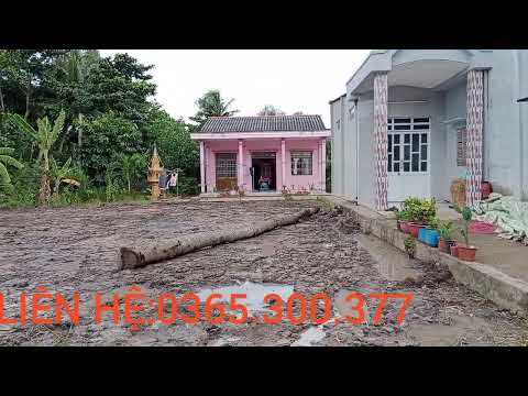 Video Bán Đất mặt tiền Trà Vinh 370tr toàn thửa (Ms45) bđs... - youtube