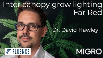 Masterclass on Inter canopy grow lighting and Far red with Dr David Hawley from Fluence