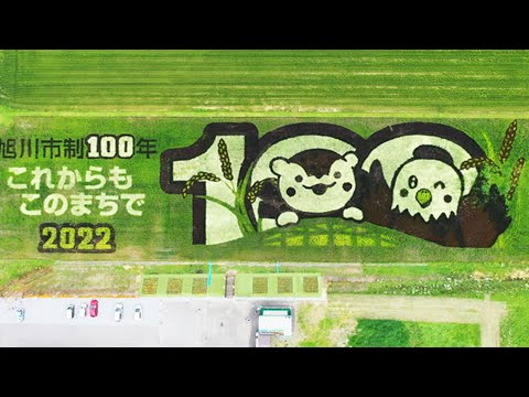 「田んぼアート」見頃　「あさっぴー」など描く　旭川市東鷹栖