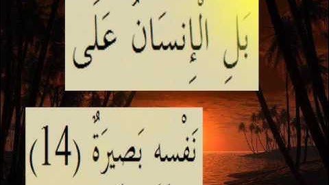 القران الكريم سورة القيامة الاية 14