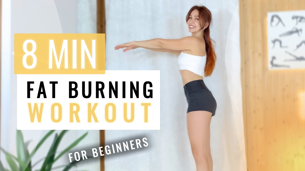 Fat Burning Workout for BEGINNERS No Equipment YouTube