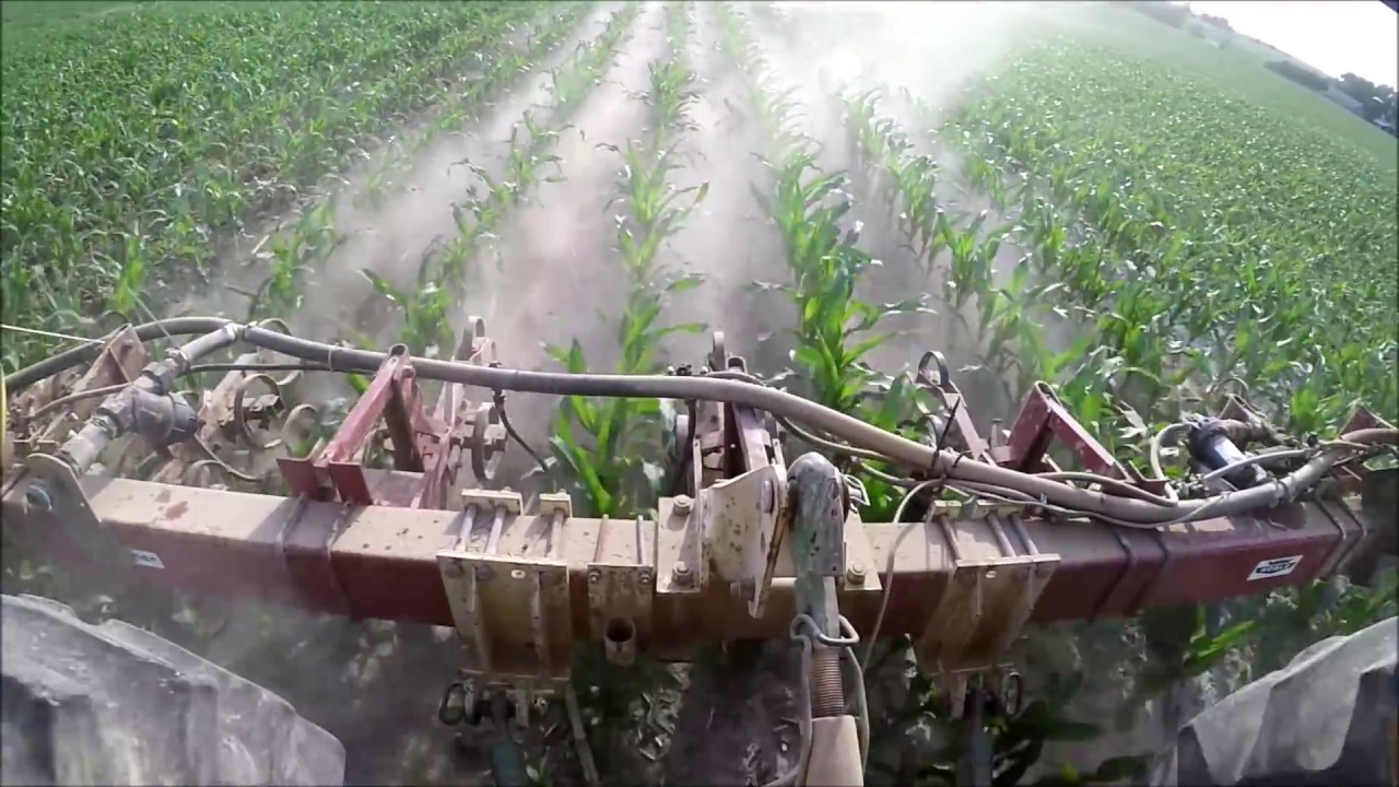 Side Dressing Corn My Dust Storm Youtube