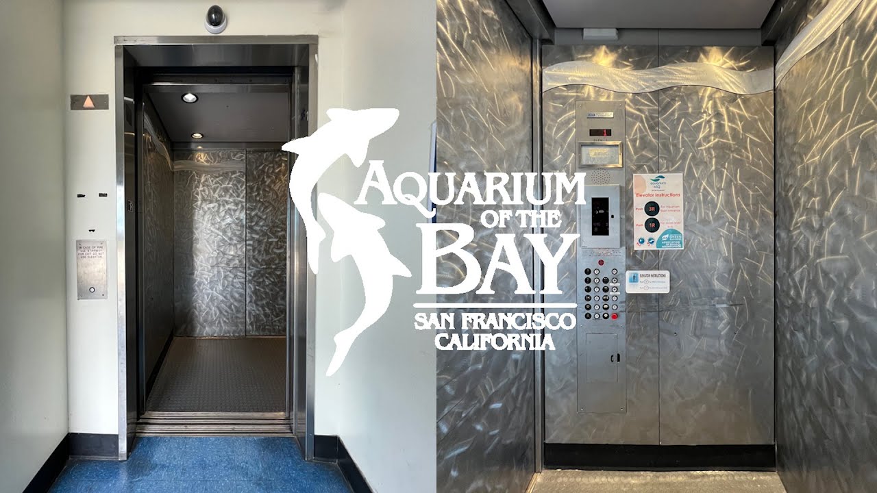 LOW ON OIL! Dover Hydraulic Elevator Aquarium of The Bay San Francisco, CA YouTube