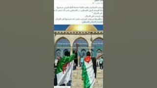 ياجزائر ياحكاية مجاهد هشام