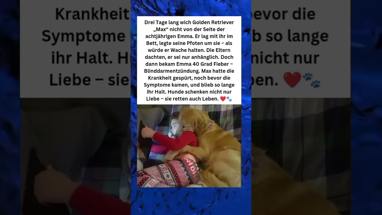 🔴Max – der Hund, der das Leben seiner kleinen Emma rettete 🐾❤️