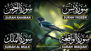 Beautiful Surah Yaseen (Yasin) | Surah Rahman | Surah Waqiah | Surah Mulk |