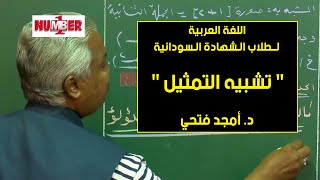 اللغة العربية | تشبيه التمثيل | د. أمجد فتحي | حصص الشهادة السودانية
