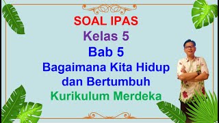 5th Grade Science Questions, Chapter 5, Semester 2