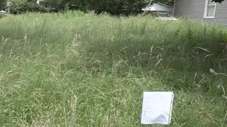 Springfield City Council adopts resolution to address chronic nuisance properties