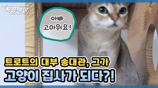 트로트의 대부 송대관, 그가 고양이 집사가 되다! MBN 211202 방송