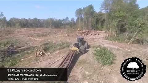 Ultimate Timber Harvest Video