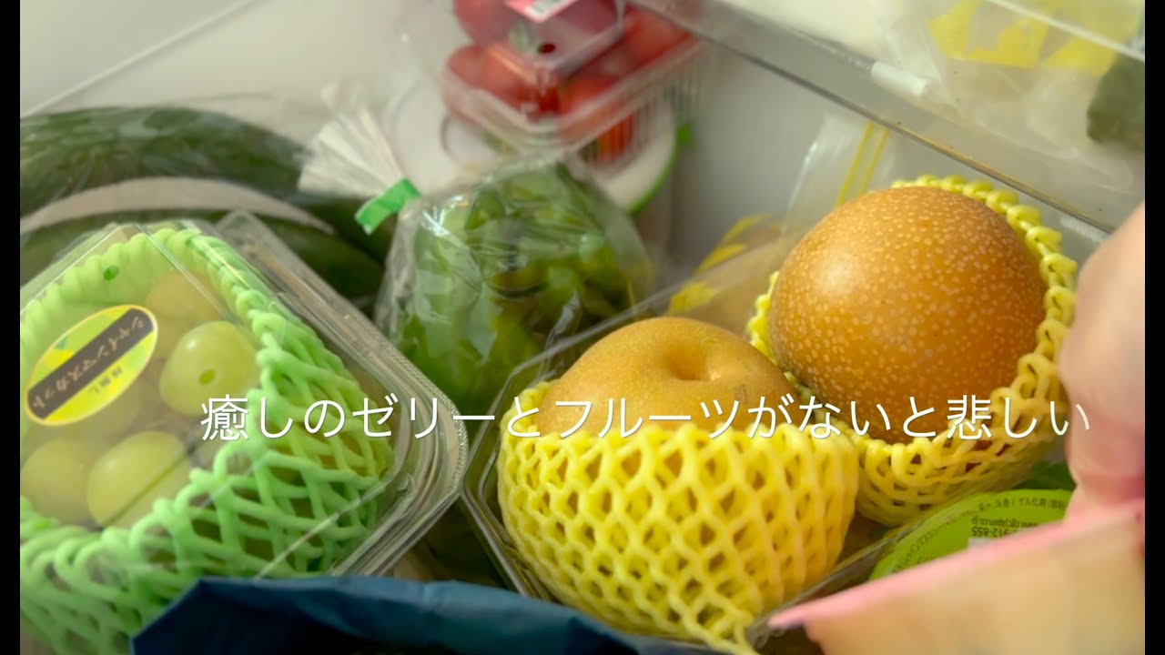 【冷蔵庫収納】ポイポイ入れても整う収納・流し下リメイクG予防バッチリ