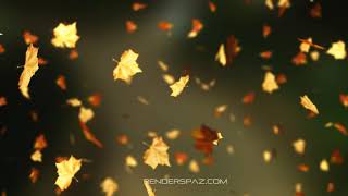 Autumn fall leaves - Осень падают листья