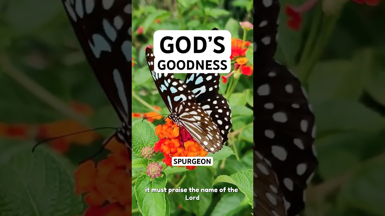 God's Goodness To Us — C. H. Spurgeon