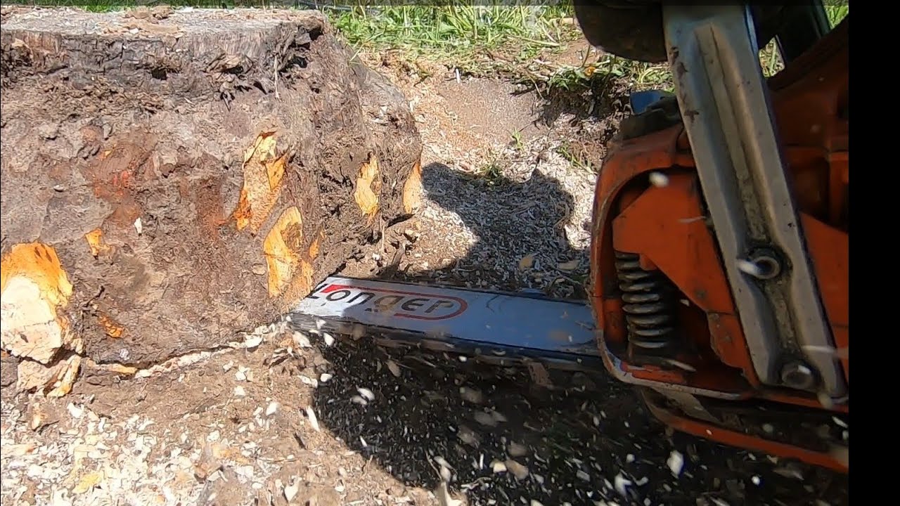 Tata ścina pniaki jak Bruce Lee