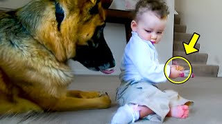 Baby Suddenly Snatches The Bone From The Dog. You Won&#39;t Believe What It Did Next!