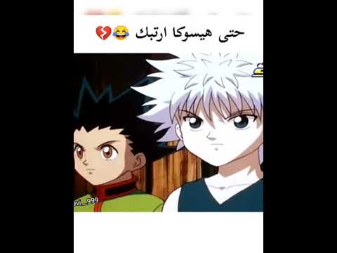 حتى هيسوكا ارتبك Killua غون Anime Art الله مصر السعودية انمي