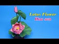 Origami gấp hoa sen giấy - How To Make an Origami Lotus Flower