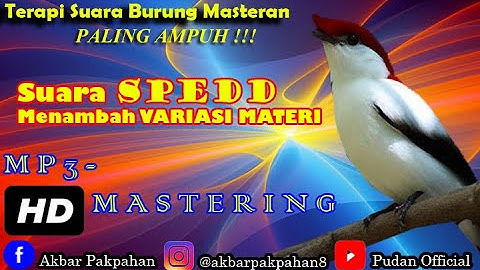 MP3 MASTERAN - SPEED SUARA MASTERAN UNTUK MENAMBAH VARIASI MATERI MEWAH MURAI BATU JEDA 1 - 2 MENIT