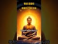 평생 흔들린 마음의 진짜이유