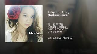 Labyrinth Story insturumental