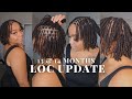 LOC UPDATE 13 &amp; 14 Months | COMBINING LOCS | MOISTURE ROUTINE
