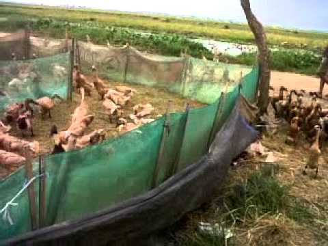 Alam Gaib  10 Gerbang Gaib Menuju Alam Arwah  Gambar 